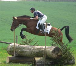 Basyl - Vielseitigkeit Kl. A in Bordesholm - Trakehner Graben