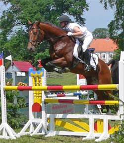 Basyl - A-Springen kombinierte Vielseitigkeit