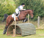 Basyl - Gel�nderitt Landesturnier Bad Segeberg, Sept 2005