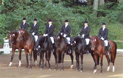 Shagya-Araber Basyl - Landesturnier Bad Segeberg 2006 - Abteilung