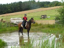 Basyl in seinem Lieblingsteich in Kreuht