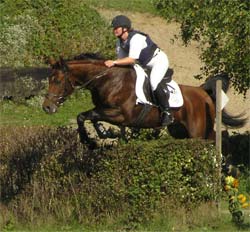 Basyl in S�sel - Sprung 18