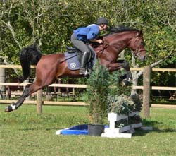 Wasser mit Enten und Bushh�rde - Basyl Privat-Gel�nde - Foto: Carin Wei�