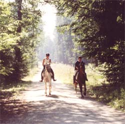 auf der Strecke - HLP-Distanzritt- Foto: Lenca-Merrit Hu�
