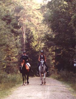 HLP-Distanzritt - km 35 - Foto: Lenca Hu�