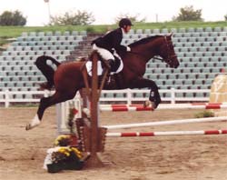 HLP-Parcoursspringen - Foto: Lenca Merrit Hu�