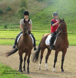 stolz schaut Basyl auf seine erfolgreiche Mutter Thirza, die gerade die Hengstleistunsgpr�fung bestanden hat!